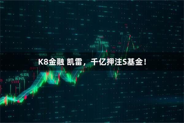 K8金融 凯雷，千亿押注S基金！