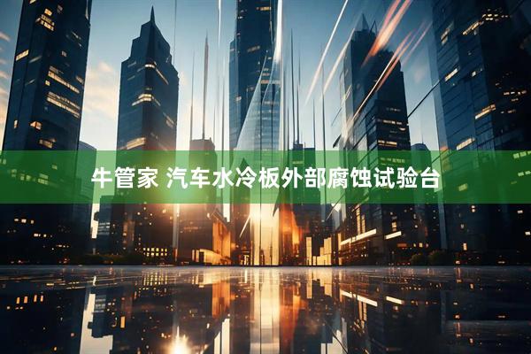 牛管家 汽车水冷板外部腐蚀试验台