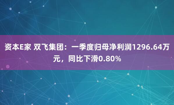 资本E家 双飞集团：一季度归母净利润1296.64万元，同比下滑0.80%