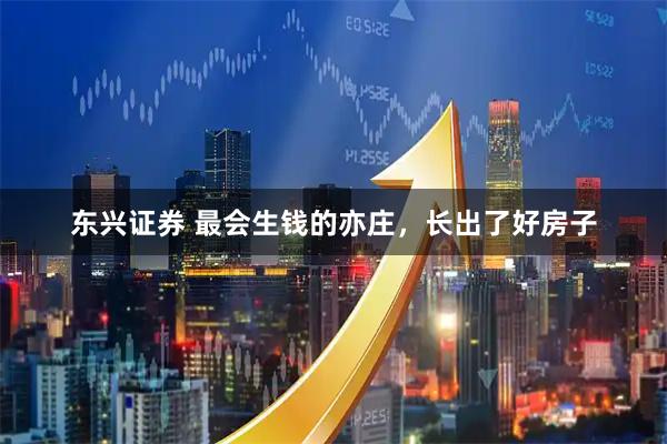 东兴证券 最会生钱的亦庄，长出了好房子