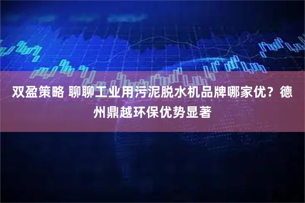 双盈策略 聊聊工业用污泥脱水机品牌哪家优？德州鼎越环保优势显著