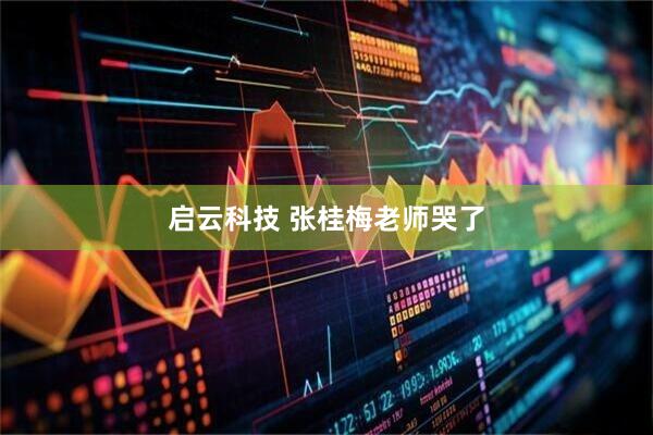 启云科技 张桂梅老师哭了